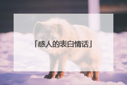 感人的表白情话