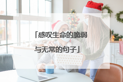 感叹生命的脆弱与无常的句子