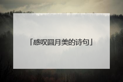 感叹圆月美的诗句