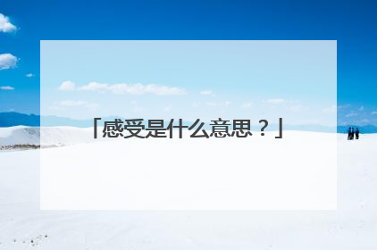 感受是什么意思？