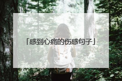 感到心痛的伤感句子