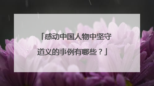 感动中国人物中坚守道义的事例有哪些?