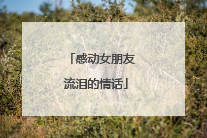 感动女朋友流泪的情话