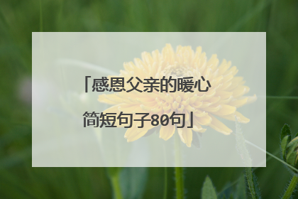 感恩父亲的暖心简短句子80句