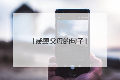 感恩父母的句子