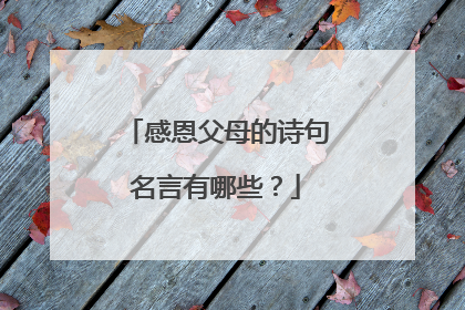 感恩父母的诗句名言有哪些？
