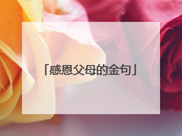 感恩父母的金句