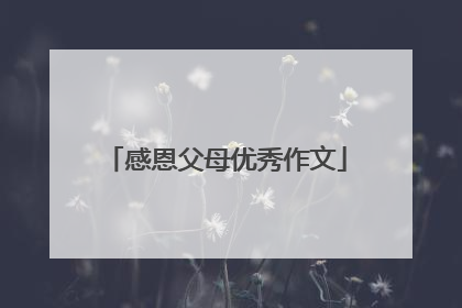 感恩父母优秀作文