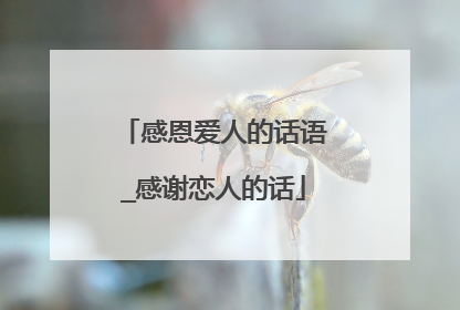 感恩爱人的话语_感谢恋人的话