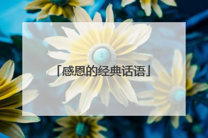 感恩的经典话语