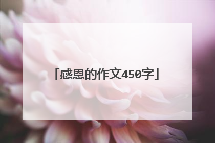 感恩的作文450字