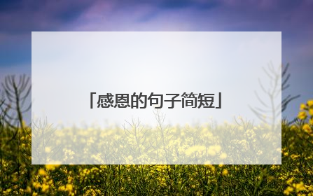 感恩的句子简短