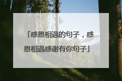 感恩相遇的句子，感恩相遇感谢有你句子