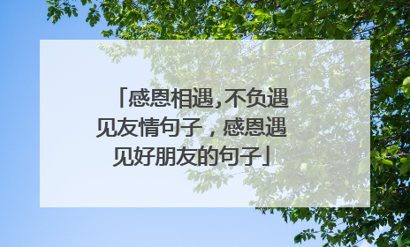 感恩相遇,不负遇见友情句子,感恩遇见好朋友的句子