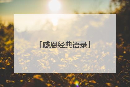 感恩经典语录