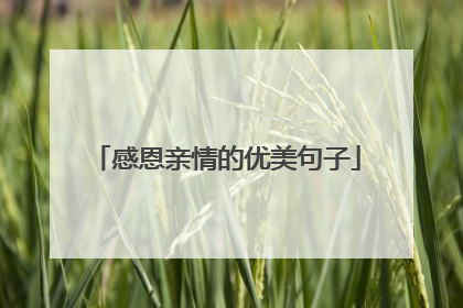 感恩亲情的优美句子
