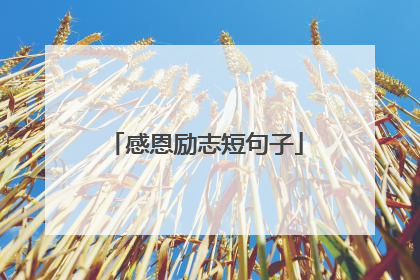感恩励志短句子