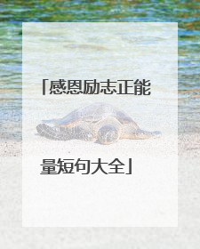 感恩励志正能量短句大全