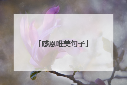感恩唯美句子