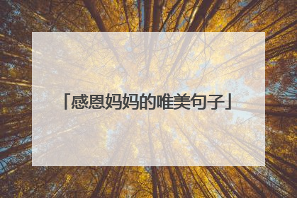 感恩妈妈的唯美句子