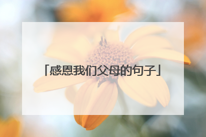 感恩我们父母的句子