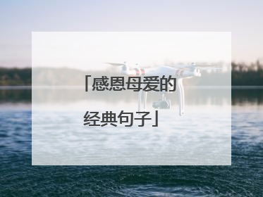 感恩母爱的经典句子