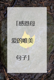 感恩母爱的唯美句子