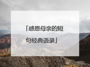 感恩母亲的短句经典语录