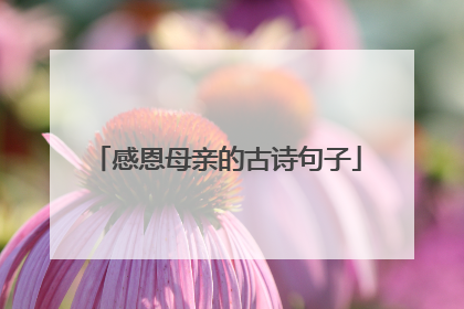 感恩母亲的古诗句子