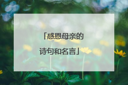 感恩母亲的诗句和名言