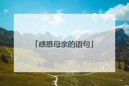 感恩母亲的语句