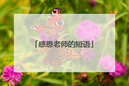 感恩老师的短语