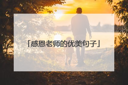 感恩老师的优美句子