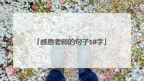 感恩老师的句子10字
