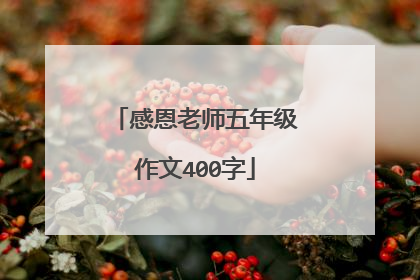 感恩老师五年级作文400字