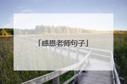 感恩老师句子