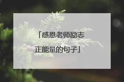 感恩老师励志正能量的句子