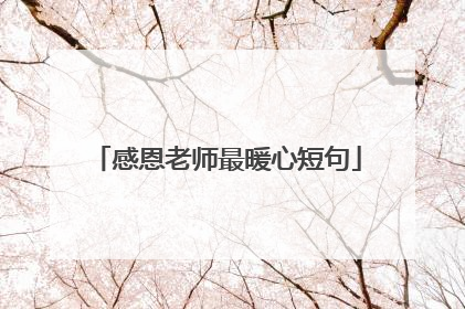 感恩老师最暖心短句