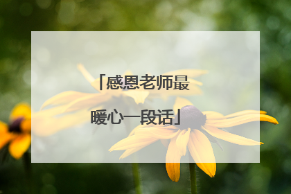 感恩老师最暖心一段话