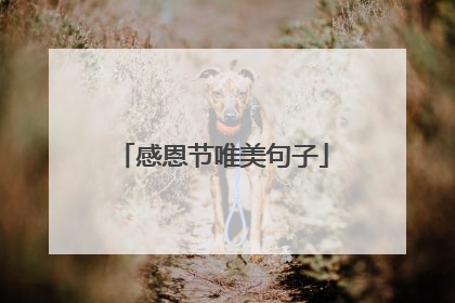 感恩节唯美句子
