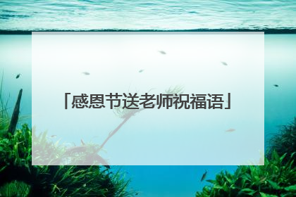 感恩节送老师祝福语