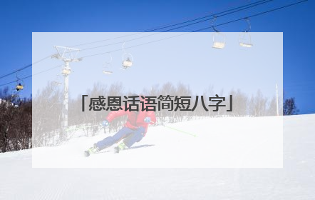 感恩话语简短八字