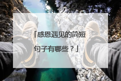 感恩遇见的简短句子有哪些？