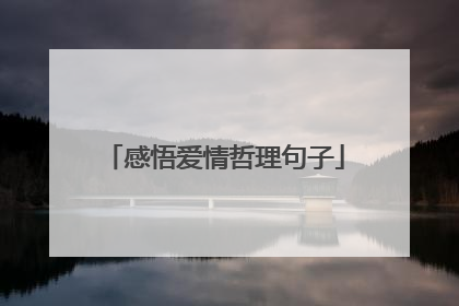 感悟爱情哲理句子