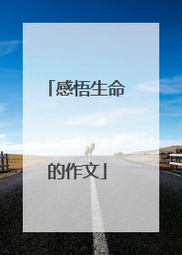 感悟生命的作文