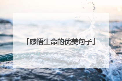 感悟生命的优美句子