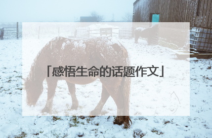 感悟生命的话题作文