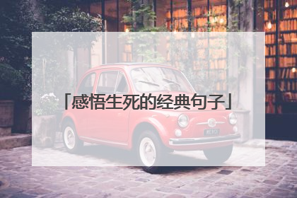感悟生死的经典句子