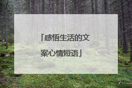 感悟生活的文案心情短语