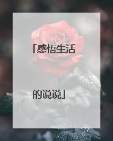 感悟生活的说说
